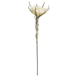 Цветок из фоамирана "Лотос летний"