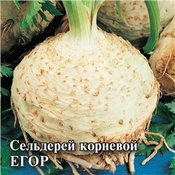 Сельдерей корневой Егор 25,0 г (цена за 1 шт)