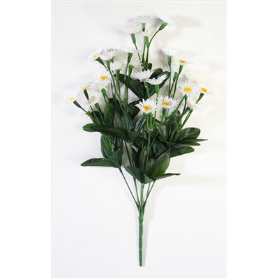 Букет ромашек "Пересвет" 28 цветков