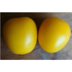 Томат Сливка-лимон