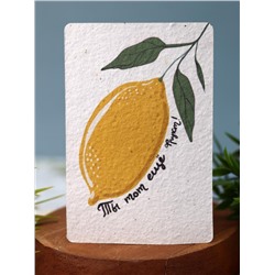 "Растущая открытка Magicme", "Ты тот еще фрукт", 10х15 см