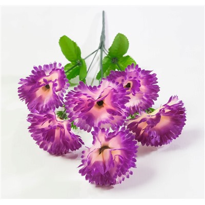 Букет гвоздик "Ривьера" 6 цветков