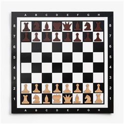 Демонстрационные шахматы 60 х 60 см "Время игры" на магнитной доске, 32 шт, чёрные