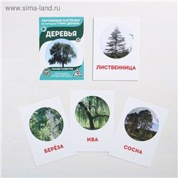 Обучающие карточки по методике Г. Домана «Деревья»