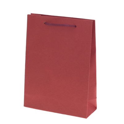 Пакет подарочный (бумага 210г/м2, блок 12шт), L15 W6 H20 см, 4в.