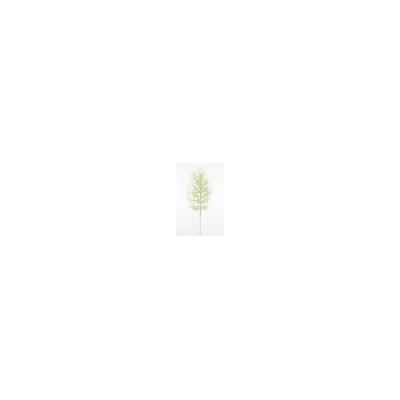 Искусственные цветы, Ветка - лист водоросли (1010237)