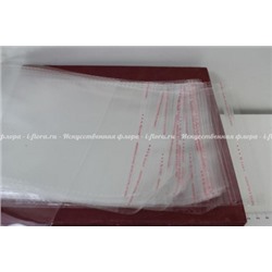 Пакет целлофановый с клеевым краем для расфасовки товара (h18*19см)
