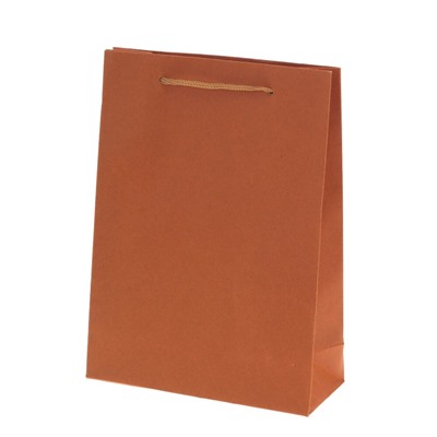 Пакет подарочный (бумага 210г/м2, блок 12шт), L15 W6 H20 см, 4в.