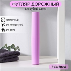 Футляр для зубной щётки и пасты Доляна, 20 см, цвет МИКС