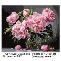 PH 40х50 CWA8656