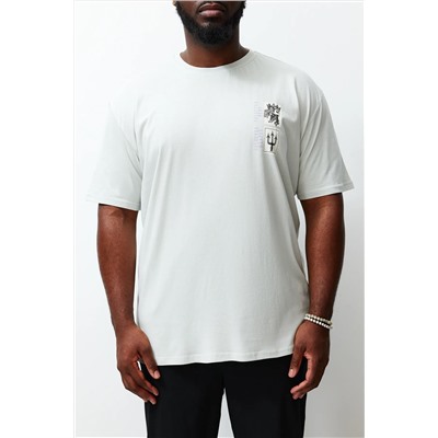 Серая футболка свободного и удобного кроя большого размера из 100 % хлопка с художественным принтом TMNSS24BF00005