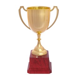 Кубок 116, наградная фигура, золото, подставка пластик, 19,5 × 11,5 × 7,8 см.