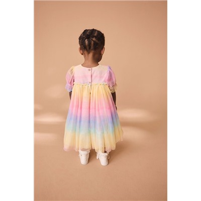 Multi Rainbow Mesh Dress (3mths-7yrs)