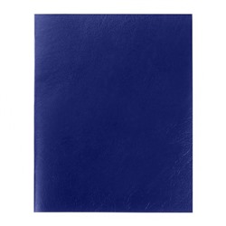 Тетрадь 96 листов в линейку "Синяя", обложка бумвинил, блок офсет