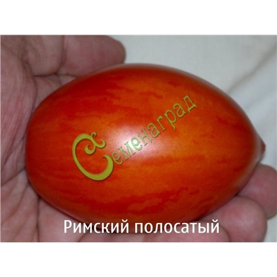 Семена томатов Римский полосатый - 20 семян Семенаград (Россия)