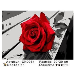 PH23 CN0054, 20х30 см