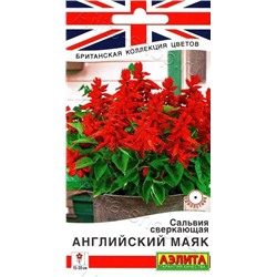 Сальвия Английский маяк (Код: 88814)