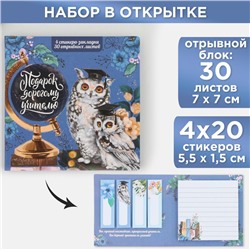 Набор в открытке «Совы», стикеры 4 х 20 листов, отрывной блок 30 листов