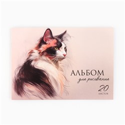 Альбом для рисования на скрепке А4, 20 листов "Кошка"