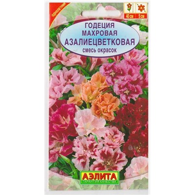 Годеция Азалиецветковая (смесь) (Код: 6555)