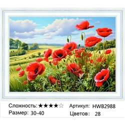 AM 30х40 HWB2988