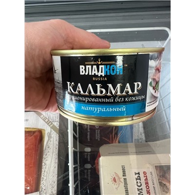 кальмар