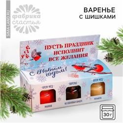 Набор «Счастливый новый год»: 2 крем-меда и варенье с шишками по 30 г.