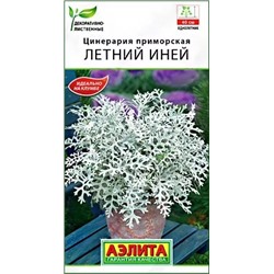 Семена Цинерария Летний Иней , арт.: 9325