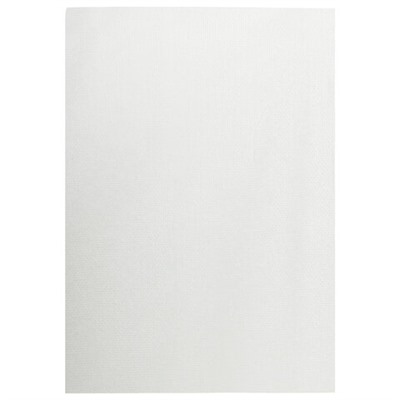 Салфетка одноразовая белая в рулоне 100 шт. 20х30 см, cotto, 45 г/м2, ЧИСТОВЬЕ, 601-829