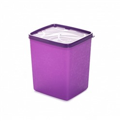 Контейнер для заморозки ALASKA 2л фиолетовый