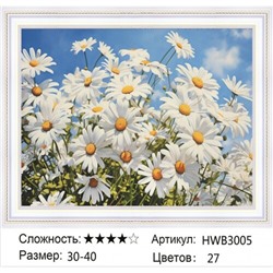 AM 30х40 HWB3005