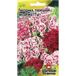 Семена Гвоздика Жоржетта турецкая, арт.: 3883