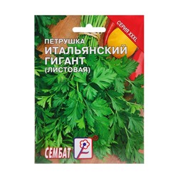 Семена ХХХL Петрушка "Итальянский гигант", 20 г