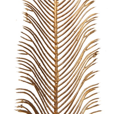 Ветка декоративная "Волшебное перо" 53 см, Золото