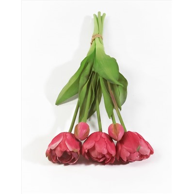 Букет открытых тюльпанов 3+2 красный