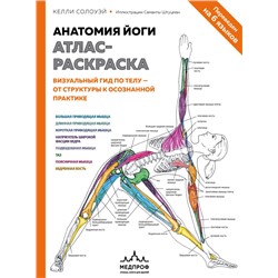Анатомия йоги: атлас-раскраска. Визуальный гид по телу — от структуры к осознанной практике Солоуэй К.