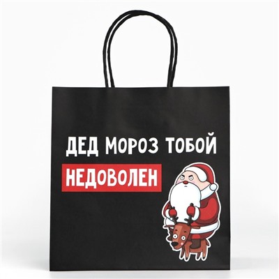 Пакет подарочный новогодний «Подарок, который ты заслужил», 22 х 22 х 11 см