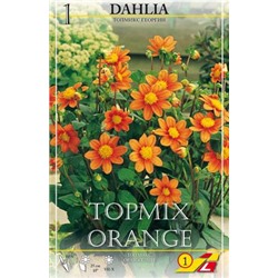 Георгина Топмикс Оранж Dahlia Topmix Orange, Darit Крафтпакет, 1шт