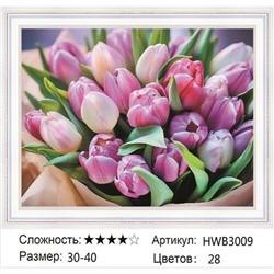 AM 30х40 HWB3009