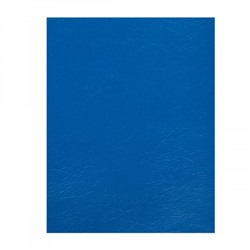 Тетрадь А5, 96 листов, клетка, поля Маяк Канц Синий Т5096 Б2