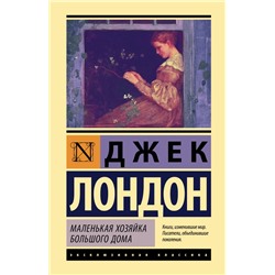 Маленькая хозяйка Большого дома Лондон Д.