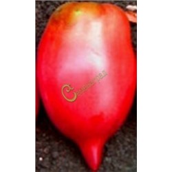 Семена томатов Легенда - 20 семян Семенаград (Россия)