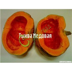 Семена тыквы «Медовая» - 4 семени, 12 упаковок Семенаград оптовый (Россия)