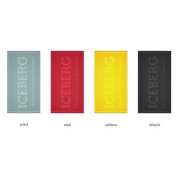 ICE25TW01 LABEL BEACH TOWEL 100% TERRY COTTON 90x170 CM