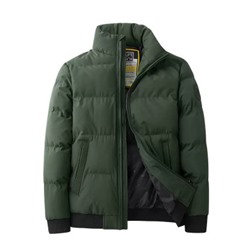 Куртка демисезонная мужская, арт МЖ188, цвет: зелёный