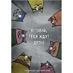 Коты-туристы. Вставай, тебя ждут дела. Ежедневник недатированный (А5, 72 л.) Богданова Е.В.