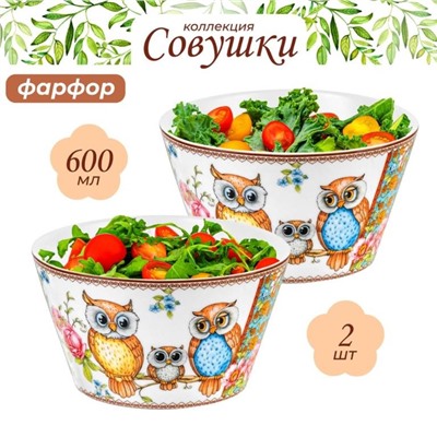 Набор 2 салатников 13*13*7,5 см 600 мл "Совушки" NEW BONE CHINA