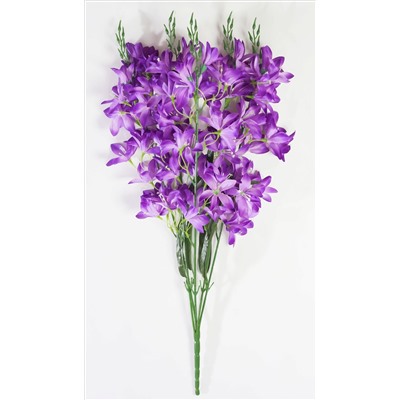 Орхидея "Аранда" 5 веток