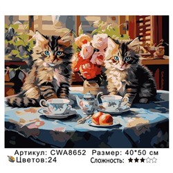 PH 40х50 CWA8652