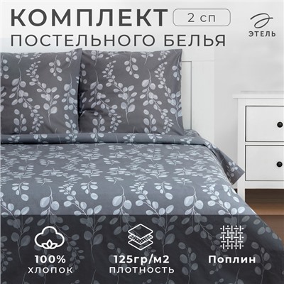 Постельное бельё Этель 2 сп «Эвкалипт» 175*215 см, 200*220 см, 70*70 см - 2 шт